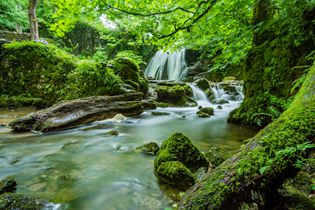 負(fù)氧離子檢測(cè)