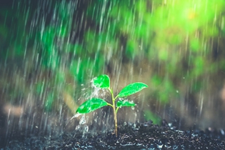 大氣降水檢測(cè)