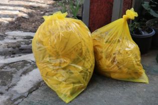 木屑檢測(cè)分析