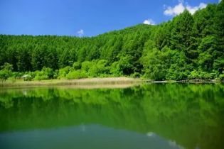 碳排放目標(biāo)分解服務(wù)