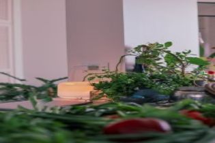 凈化器檢測(cè)分析