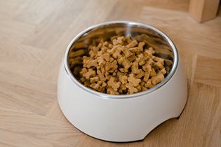 寵物食品檢驗(yàn)測(cè)試服務(wù)