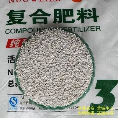 復(fù)合肥檢測(cè)