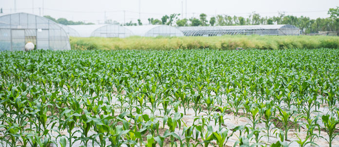 農(nóng)用地質(zhì)量檢測(cè)